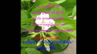 ค่าน้ำนม