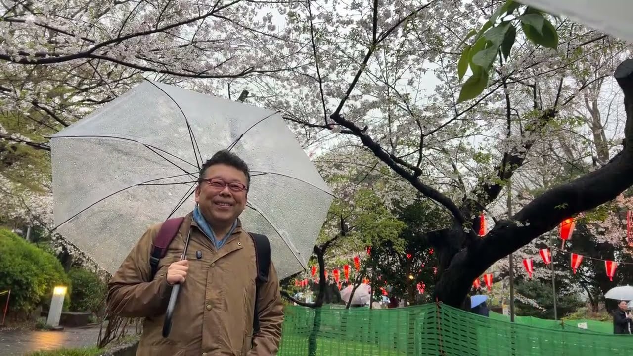大雨の中の花見、YouTubeライブ【精神科医・樺沢紫苑】
