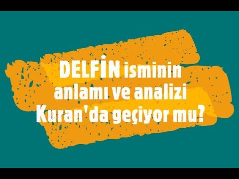 DELFİN İsminin Anlamı ve Analizi Nedir?
