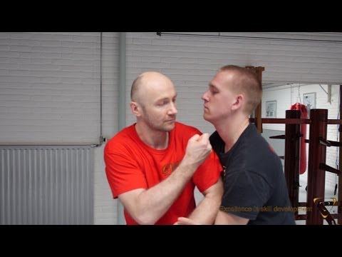 EWO - Sifu Edgar Zimmermann (Chi Sao sections 4 + 5 - Kwai/Ding Jarn & Double/Nail Punches)