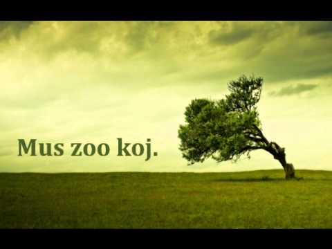 Mus Zoo Koj - lightofday