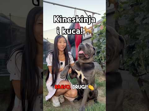 Kineskinja upoznala Arona u Zemunu!🤗😎