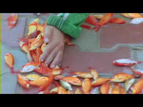 Hey look The Song of Sparrows New Trailer sm2