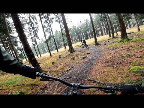 Bikepark Špičák Family Trail 2022