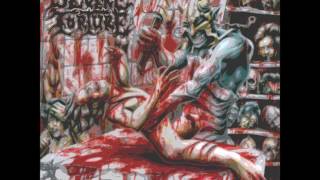 Severe Torture - Carnivorous Force"