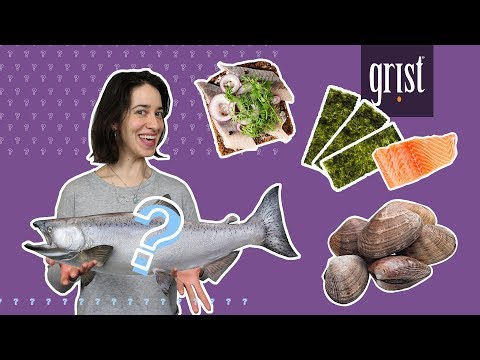 Can A Pescatarian Diet Help Save The Planet?