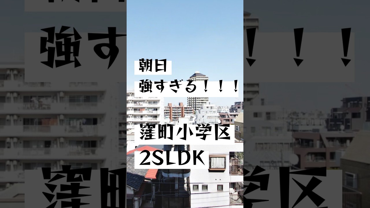 朝日強すぎる！！！窪町小2SLDK #ベステックス #文京区不動産 #文京区賃貸 #ルームツアー #roomtour