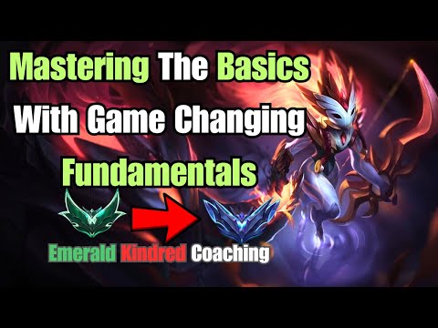 Learning How To Abuse Fundamentals To Secure Easy Wins | Emerald Jungle Coaching