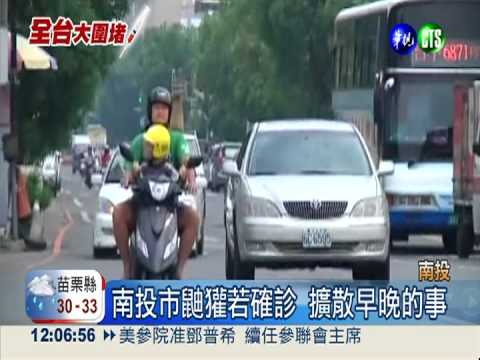 染病鼬獾闖南投市? 離人越來越近