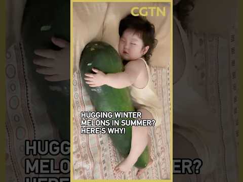 A giant vegetable that works like a cooling pad?
