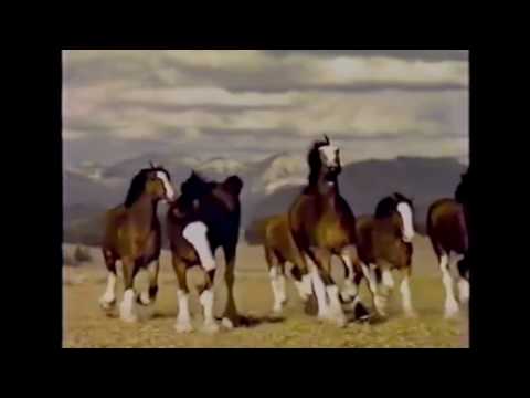 Top 10 'Budweiser' Super Bowl commercials 1