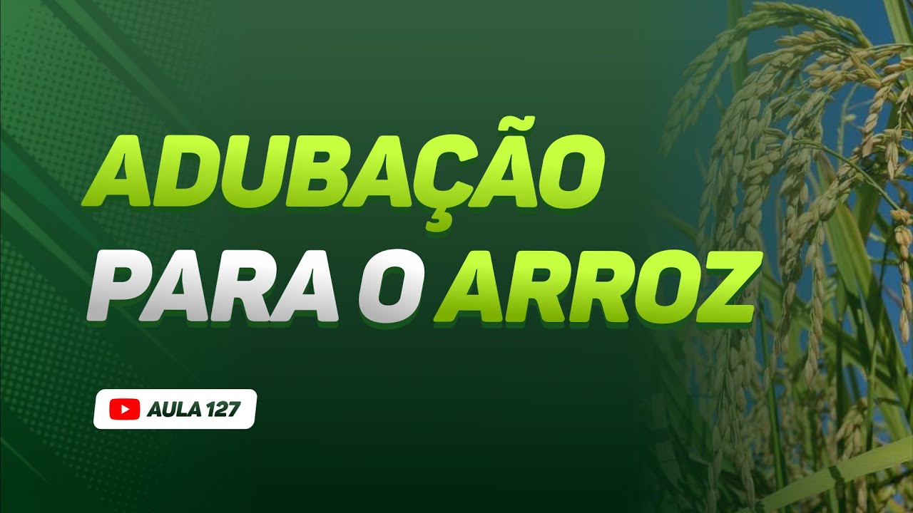 Como RECOMENDAR ADUBAÇÃO para o ARROZ - Aula 127