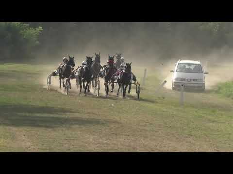 Trka "Vlada Bjelogrlić-pokrovitelj KK Vojvođanin” 20.09.2020 Doroteja S.G. - Karolj Sečenji