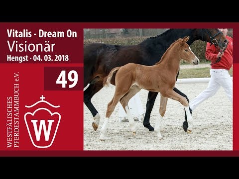 49 Visionär HF v. Vitalis - Dream On