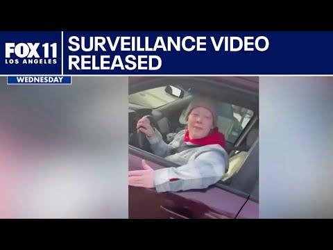 ICE shooting: New video released in Minneapolis deadly shooting