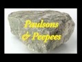 Paulsons Peepees