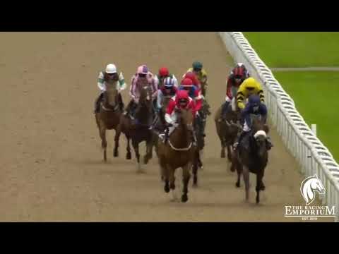 Crocodile Power finishing 4th at Wolverhampton.