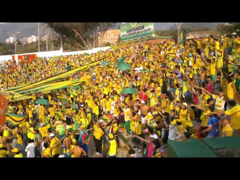 "loko por el leopardo, fortaleza leoparda sur 2014" Barra: Fortaleza Leoparda Sur • Club: Atlético Bucaramanga