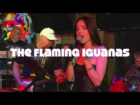 Denisa Grecu and The Flaming Iguanas - Live show in Michigan, USA