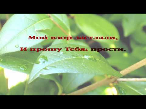 23. Господь мой, Иисус, пришел к Тебе с мольбою