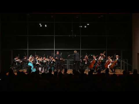 iPalpiti/Schmieder. Schubert – Der Wanderer an den Mond. Wolfgang Holzmair, Baritone