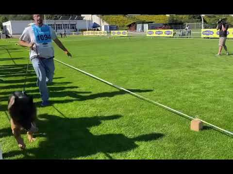 V8 BSZS Ugos du Parc à Mitrailles