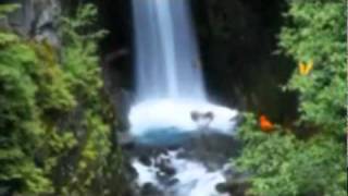 ♥ "I'm in the Mood for Love" - Cliff Richard