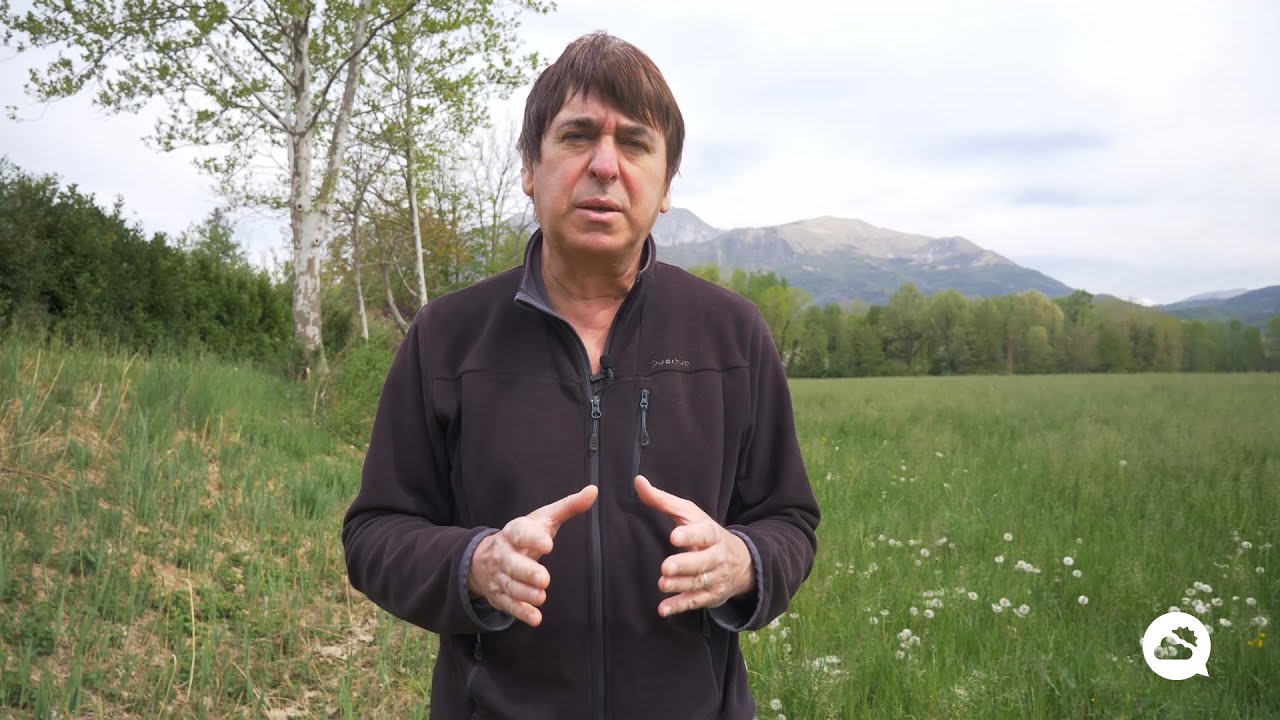 youtube video id=vSQg3ZddAdo