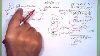 81 ➤   اسم لا والمنادى الـمُعرَب image