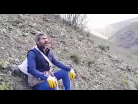 Palu Tırnik Bölgesi; Zeraj Zazaca