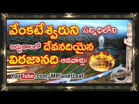 Amazing Facts on Existence of Viraja River on Tirumala! | MPlanetLeaf