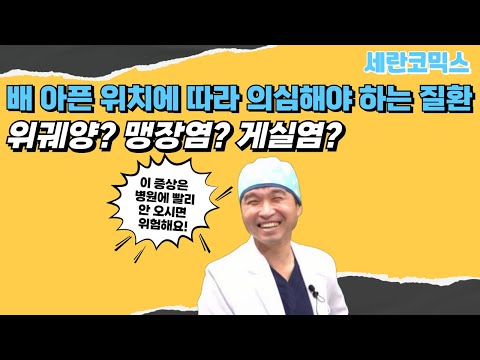 배 아픈 위치에 따라 위궤양? 맹장염? 게실염?