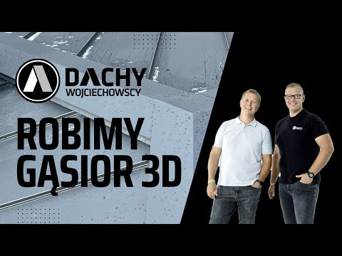 Gąsior 3D i etap dachu Ruukki