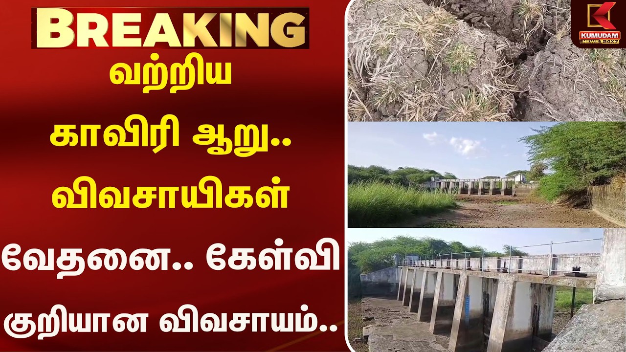 வற்றிய காவிரி ஆறு.. விவசாயிகள் வேதனை.. கேள்வி குறியான விவசாயம்.. | DryRiver | Kumudam News
