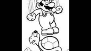 Can -Turtles Have Short Legs