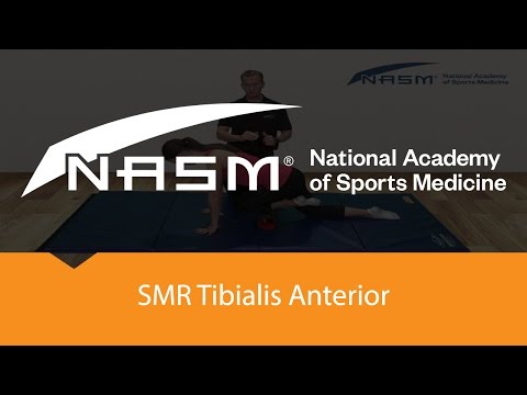 SMR   Tibialis Anterior