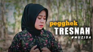 Download lagu PEGGEK TRESNAH // vocal MUZIDA || Karya MALVIN RAMANDA mp3