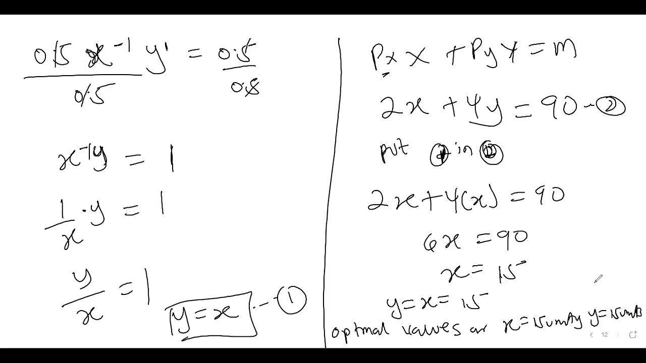 Consumer Behaviour Video 4 - Examples on Utility Optimization