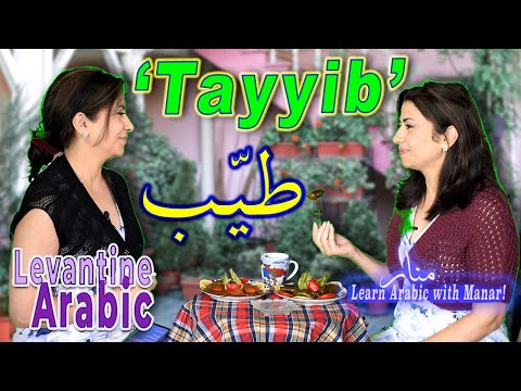 How to use 'Tayyib', "طيّب": Tasty, Good-hearted, OK, Fine, Alright,  in Levantine Syrian Arabic