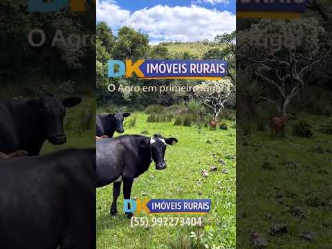 725 HECTARES EM PINHEIRO MACHADO: PATRIMÔNIO QUE MERECE ATENÇÃO!