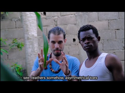 Les Feats De Takam (Saison 2 ,Épisode 4) - Le Poulet DG ft Haïs