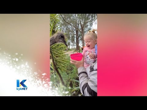 Kwêla Funnies 2021 – Rondte 5 | kykNET