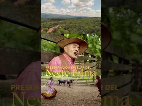 Acompáñanos al cierre de campaña y seamos parte de este momento histórico, donde juntos