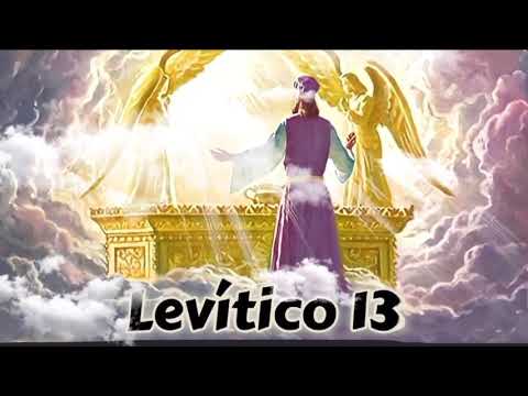 LEVÍTICO capítulo 13 - LEY REFERENTE A LA LEPRA (Biblia Hablada 📖)