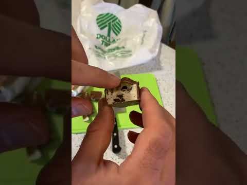 Dollar Tree Dollar Store Twix Ice Cream Bars Live Review