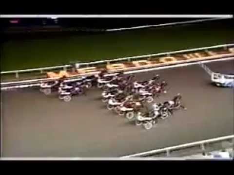 1988 Meadowlands CALL FOR RAIN Graduate Series Final