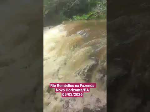 Rio Remédios na Fazenda - Novo Horizonte / BA