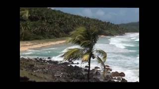 preview picture of video 'Corn Island'