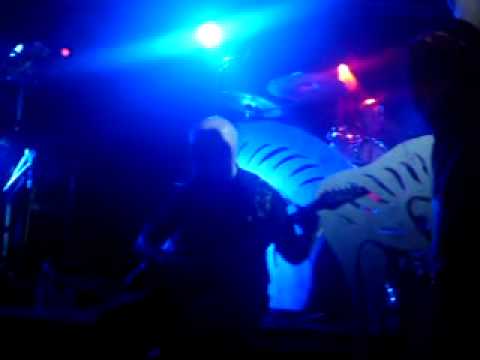 nothing else matter-rock tigers