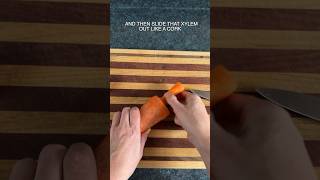 Carrot Disassembly Hack #carrot